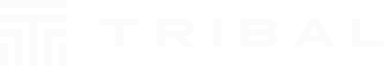 Logo Tribal Brazil